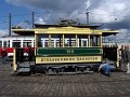 Trammoldie   011